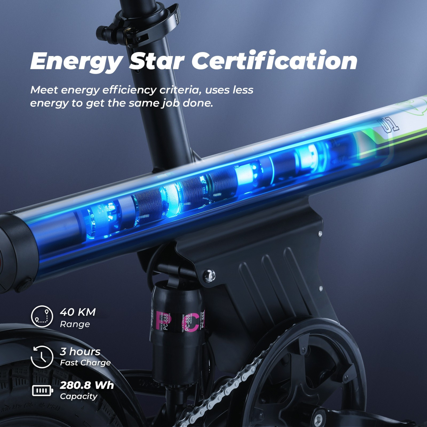U1 250W Electric Bike for Adult