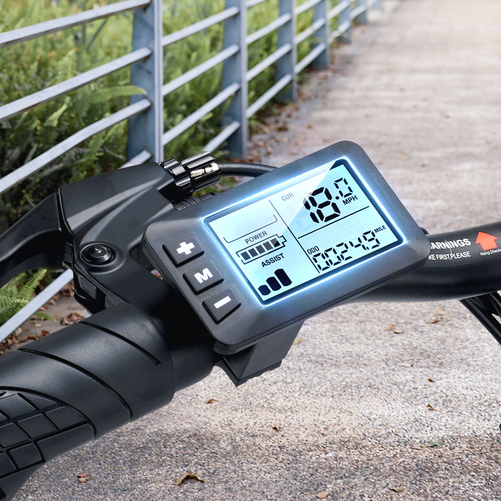 U1 250W Electric Bike for Adult